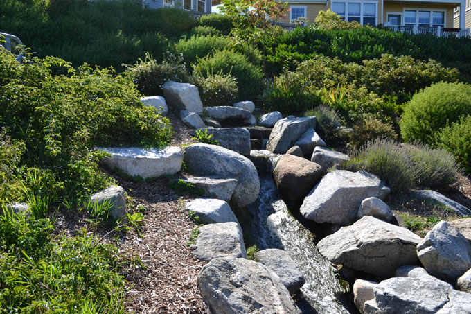 High Point rain garden drainage feature