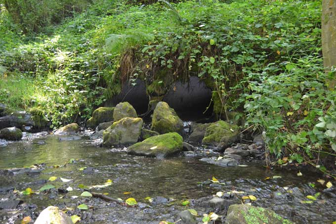 Stormwater drainage pipes in Piper's Creek
