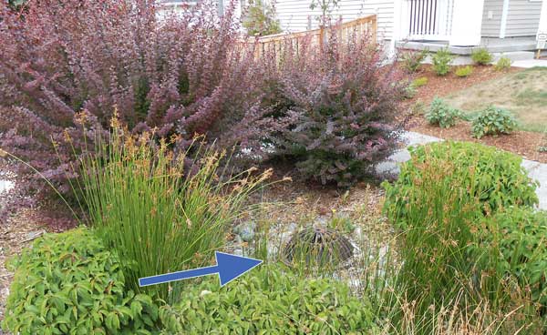 High Point rain garden with overflow port