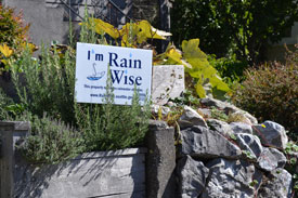 Rainwise sign in citizen's yard